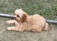 processed/322d0300-5033-4ae9-b414-c8def2a821f1/listing/9781fce2-2275-4826-a946-63da8f64df5e/9ee8a894-8fcc-437e-bd56-b6221195e5eb