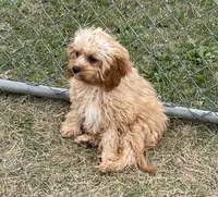 processed/322d0300-5033-4ae9-b414-c8def2a821f1/listing/9781fce2-2275-4826-a946-63da8f64df5e/f1fd4ddd-3a27-4f2e-9e6b-b2a216481f4e