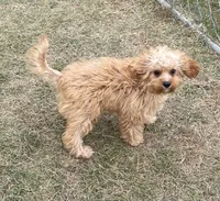 processed/322d0300-5033-4ae9-b414-c8def2a821f1/listing/9781fce2-2275-4826-a946-63da8f64df5e/f64835bc-2691-44b3-8443-018ca176e351