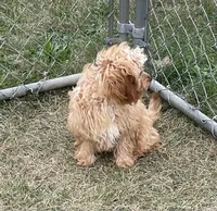 processed/322d0300-5033-4ae9-b414-c8def2a821f1/listing/9781fce2-2275-4826-a946-63da8f64df5e/fc16f6ed-e9bf-43e4-b190-fec581d9610d