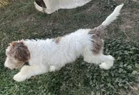 processed/322d0300-5033-4ae9-b414-c8def2a821f1/listing/99651eb5-9cd6-4045-8f76-bd3b8e2a57fb/099dd0ac-125f-4b85-82a5-578ffeb9e59a