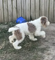 processed/322d0300-5033-4ae9-b414-c8def2a821f1/listing/99651eb5-9cd6-4045-8f76-bd3b8e2a57fb/cc7ee0ce-3baf-429d-95a8-f9e0c13d1bbd