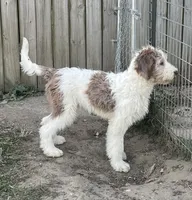 processed/322d0300-5033-4ae9-b414-c8def2a821f1/listing/99651eb5-9cd6-4045-8f76-bd3b8e2a57fb/e80b39ca-e173-47df-879e-dc06597c124c