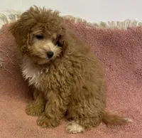 processed/322d0300-5033-4ae9-b414-c8def2a821f1/listing/e3d91e52-7c05-4d80-ae51-3e51639cc093/173faa3d-2d6e-4662-9402-3f14bdefe825