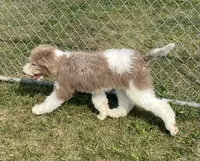 processed/322d0300-5033-4ae9-b414-c8def2a821f1/listing/f6b37395-7eeb-43b9-bbb4-584dbbcafcd5/003faa2a-e262-41a1-95a0-88880eea0c08