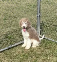 processed/322d0300-5033-4ae9-b414-c8def2a821f1/listing/f6b37395-7eeb-43b9-bbb4-584dbbcafcd5/32dbc276-db1d-418e-b365-c279e7a6ba0f