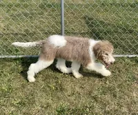 processed/322d0300-5033-4ae9-b414-c8def2a821f1/listing/f6b37395-7eeb-43b9-bbb4-584dbbcafcd5/59b1dc70-4ba5-44d6-a24c-1a681207f4ac