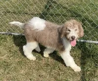 processed/322d0300-5033-4ae9-b414-c8def2a821f1/listing/f6b37395-7eeb-43b9-bbb4-584dbbcafcd5/5ecc5ef0-56db-43ef-b67d-80d2a4d83f30