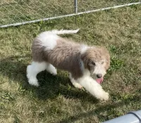 processed/322d0300-5033-4ae9-b414-c8def2a821f1/listing/f6b37395-7eeb-43b9-bbb4-584dbbcafcd5/67055fca-54ac-4211-b644-2c41aaf0e1bb