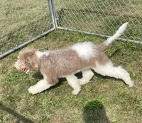 processed/322d0300-5033-4ae9-b414-c8def2a821f1/listing/f6b37395-7eeb-43b9-bbb4-584dbbcafcd5/90d919b3-df10-4e5e-86e6-84995b7159ac