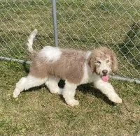 processed/322d0300-5033-4ae9-b414-c8def2a821f1/listing/f6b37395-7eeb-43b9-bbb4-584dbbcafcd5/9abfd237-5ecc-4f71-aba8-b69468cc7f83