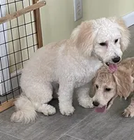 processed/322d0300-5033-4ae9-b414-c8def2a821f1/listing/f91bc946-936a-40e5-b77e-29209763b9f1/21c117ca-12a7-4dd1-b8d9-81ab47debbf3