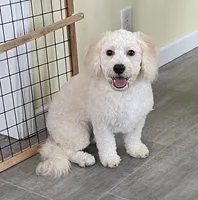 processed/322d0300-5033-4ae9-b414-c8def2a821f1/listing/f91bc946-936a-40e5-b77e-29209763b9f1/535882bb-290a-419d-b5a0-1c4107ee5f0b