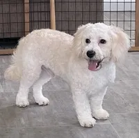 processed/322d0300-5033-4ae9-b414-c8def2a821f1/listing/f91bc946-936a-40e5-b77e-29209763b9f1/ac891876-af0b-42ff-a2ca-6b44575781d0