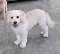 processed/322d0300-5033-4ae9-b414-c8def2a821f1/listing/f91bc946-936a-40e5-b77e-29209763b9f1/ba15c730-66fb-4985-aa17-b132af77e8b4