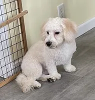 processed/322d0300-5033-4ae9-b414-c8def2a821f1/listing/f91bc946-936a-40e5-b77e-29209763b9f1/ddbc55c8-6513-42d9-966a-2da76cf9e51b