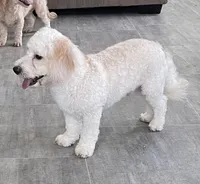 processed/322d0300-5033-4ae9-b414-c8def2a821f1/listing/f91bc946-936a-40e5-b77e-29209763b9f1/e5fe2978-b362-409c-b45e-e1582c6f062a