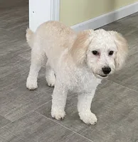 processed/322d0300-5033-4ae9-b414-c8def2a821f1/listing/f91bc946-936a-40e5-b77e-29209763b9f1/f3cd5351-18f1-4982-8e75-7986d6224d6e