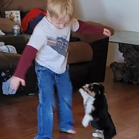 processed/32302b22-ea54-4442-b089-c7d87234df38/facility/3f335852-13f5-4046-b461-9dea6cca9989