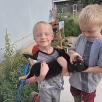 processed/32302b22-ea54-4442-b089-c7d87234df38/facility/4761584f-3f05-4220-be03-b2c2ee176084