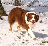 processed/3233a72e-098f-49a4-95c2-eef1055944f0/facility/0dc7107e-b5d5-4c4f-a1f4-46c20f402007