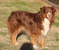 processed/3233a72e-098f-49a4-95c2-eef1055944f0/facility/19eb1365-1ca6-439a-8634-6e4e2c1f95c5