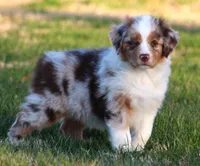 processed/3233a72e-098f-49a4-95c2-eef1055944f0/facility/336d58fc-6ee2-49c0-83e3-7e3345a7baf9