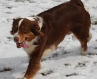 processed/3233a72e-098f-49a4-95c2-eef1055944f0/facility/7b87e548-4350-4322-8d36-9b05098f4425