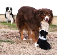 processed/3233a72e-098f-49a4-95c2-eef1055944f0/facility/7ea6b2d0-232d-430e-b9d8-c5632fe83a45