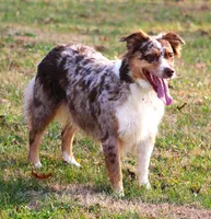 processed/3233a72e-098f-49a4-95c2-eef1055944f0/facility/90cb64d6-66e6-45cd-8334-a4be44b37fdb