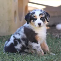 processed/3233a72e-098f-49a4-95c2-eef1055944f0/facility/a1655498-1067-4b53-84e3-db54918b5406