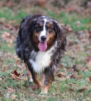 processed/3233a72e-098f-49a4-95c2-eef1055944f0/facility/b0079cf4-dd3f-4a0d-92a0-63a2264af207