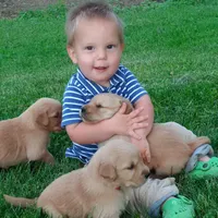 processed/3234c329-d3fe-427f-a898-b8378dbe3c03/facility/1aa24198-b432-4d68-81a2-e991877cf725