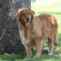 processed/3234c329-d3fe-427f-a898-b8378dbe3c03/facility/580e3674-a27f-4659-9aad-65fc20edb089