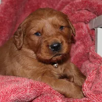 processed/3234c329-d3fe-427f-a898-b8378dbe3c03/facility/e508ff4a-9ed1-4a0f-ab59-e4ffa1529602