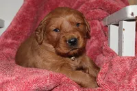 processed/3234c329-d3fe-427f-a898-b8378dbe3c03/facility/e508ff4a-9ed1-4a0f-ab59-e4ffa1529602