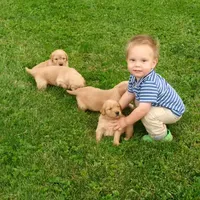 processed/3234c329-d3fe-427f-a898-b8378dbe3c03/facility/f98898e7-cdd3-4b54-9467-94bbaa7dd4b0