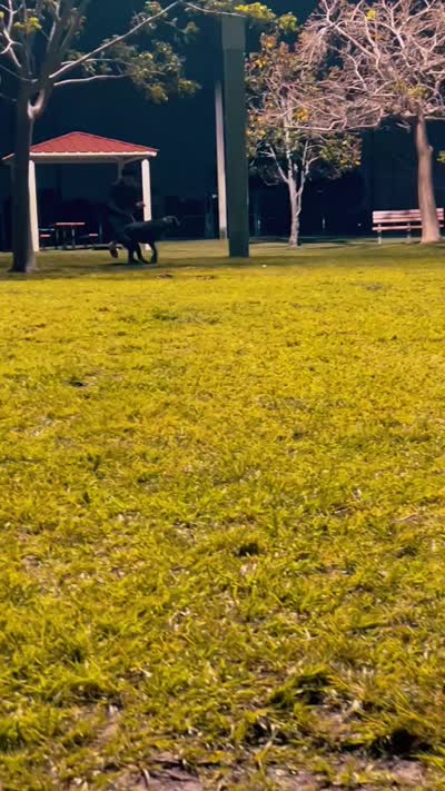 Facility video