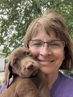 Marley girl 1, a female Labrador Retriever for sale in Noble, IL – 2 of 8
