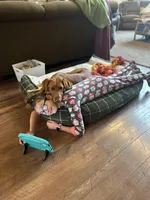 processed/32400200-056e-483a-8d86-37773acc150f/facility/c3332ea2-8e42-47f4-8e95-f775cacd42d5