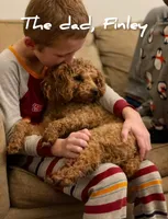 🔥 Rusty 🔥, a male Labradoodle for sale in North Pole, AK – Photo 4 of 6