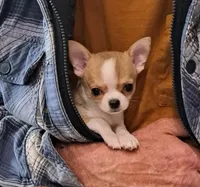 processed/3240eadd-aaa1-41ff-a0cb-5937d3e5fc30/facility/9a551575-dbb1-49ee-93b3-6773e3dbf4f9