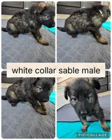 processed/3244a74b-a7a5-4ec9-af67-3f4c8a10c693/listing/2610e62f-f4fb-4e4d-adb3-eeb15714851f/f392841b-cee1-4140-a79f-c56951fc8cb8