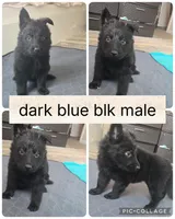 processed/3244a74b-a7a5-4ec9-af67-3f4c8a10c693/listing/b6a7e6e4-e175-4727-93a8-0efa31832a0c/2825d700-4f3c-4a10-8e81-de04c9d950c1