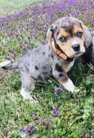 processed/3245cbfa-bd61-41f4-83d7-c849643d19cb/listing/8a9887b0-dff6-413c-9691-ea6ee9bbea0b/4f43c808-1e58-4d7e-9dd8-c0fc48fc5d95