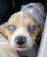 processed/3245cbfa-bd61-41f4-83d7-c849643d19cb/listing/8a9887b0-dff6-413c-9691-ea6ee9bbea0b/fb3c434e-9495-4d97-ba67-69c4ea673078