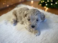 processed/3245cbfa-bd61-41f4-83d7-c849643d19cb/listing/93344238-11d6-43fd-8eca-f0fce9cb00a6/905c56dc-600c-4516-8d41-78e0de5229f3