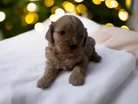 processed/3245cbfa-bd61-41f4-83d7-c849643d19cb/listing/b11f58c5-e735-475f-bc3d-da63e0704084/e0d01c90-a9a8-40c4-a0c3-e9a27d08511e