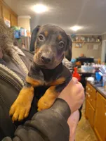 processed/324c5613-0084-4f5a-b2e5-5e6a9a22df11/listing/02904575-fbdf-4341-907e-2a060733e0f8/4c660838-a4a9-4bd7-9bc2-1a3649d93493