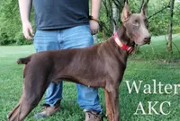 processed/324c5613-0084-4f5a-b2e5-5e6a9a22df11/listing/02904575-fbdf-4341-907e-2a060733e0f8/d317e826-77ef-4920-b493-5296faba71a3